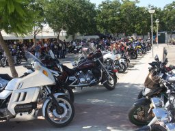 XVII Concentracion - 2010